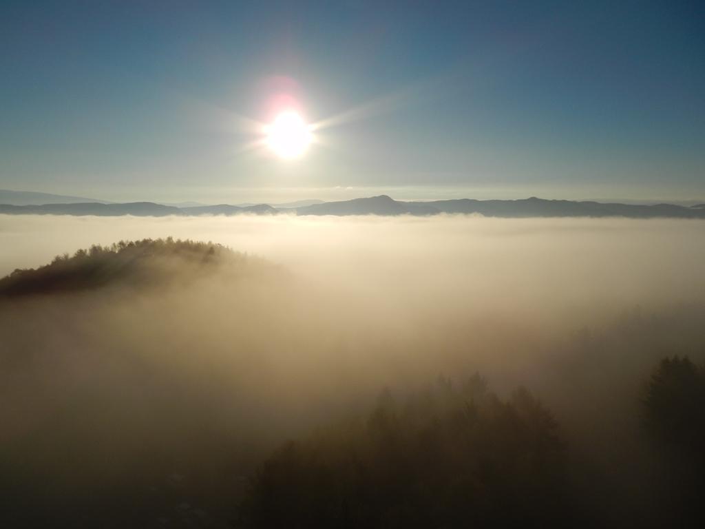 Shin Furano Prince Hotel 외부 사진 Fog over the Black Forest